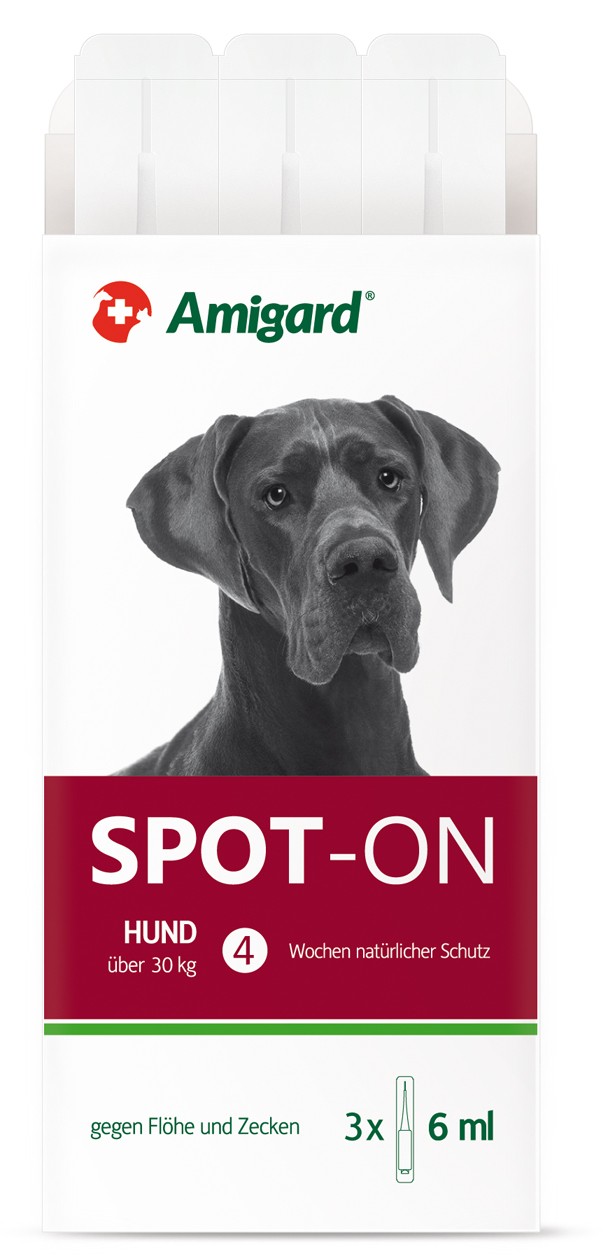 amigard spot on hund uber 30 kg 3er packung
