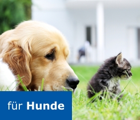 für Ihren Hund